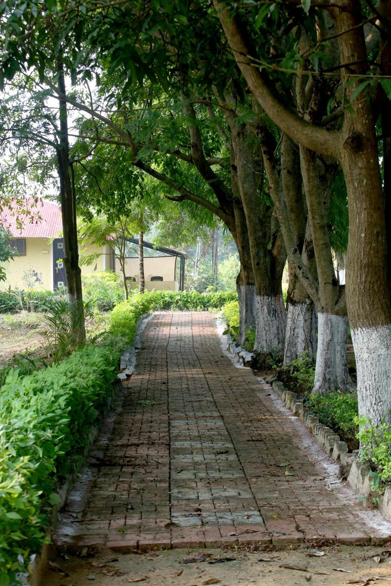 Tribal Wood Resort Dhanwār Esterno foto