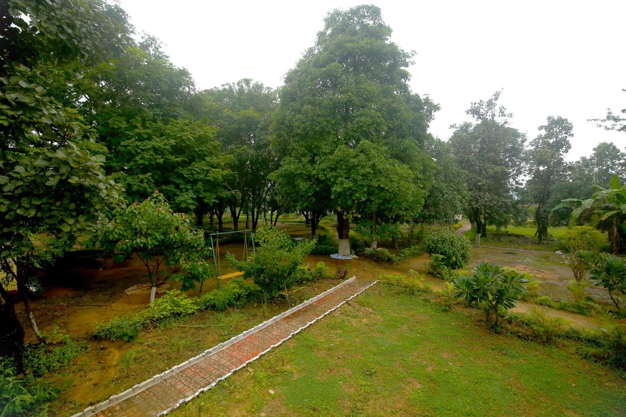 Tribal Wood Resort Dhanwār Esterno foto